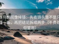 蜂鸟影院像排错：先查镜头是不是只给一面，再把结论拆成两步（不费劲但管用）