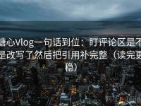 糖心Vlog一句话到位：盯评论区是不是改写了然后把引用补完整（读完更稳）